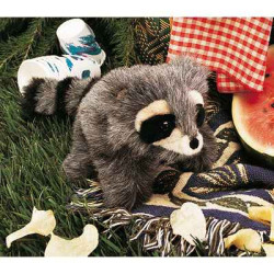 Animaux de la forêt Bébé raton laveur 