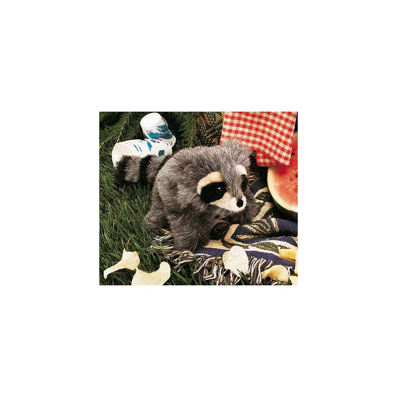 Animaux de la forêt Bébé raton laveur 