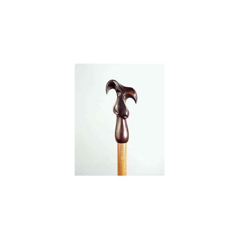 Décoration Canne du Monde Canne bois Ojeroso -A04SC
