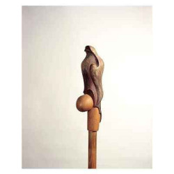 Décoration Canne du Monde Canne bois Polychrome Egon-Halcon -A17