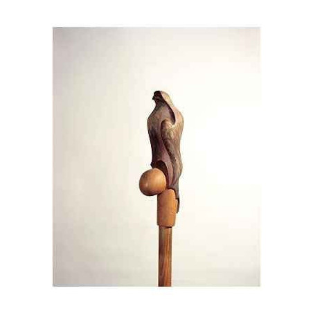 Décoration Canne du Monde Canne bois Polychrome Egon-Halcon -A17