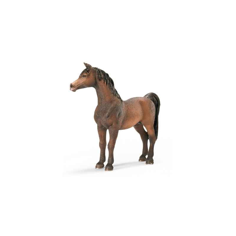 schleich -13629 -Etalon Arabe