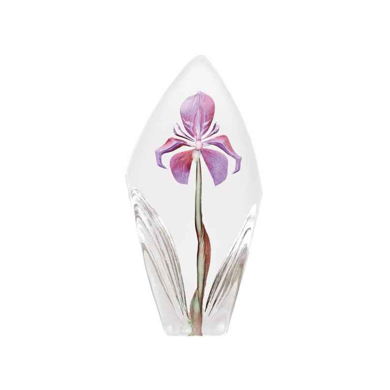 Objet de collection en verre Acarena , grande , violet Mats Jonasson -34023 dans animaux-bois-animaux-bronzes