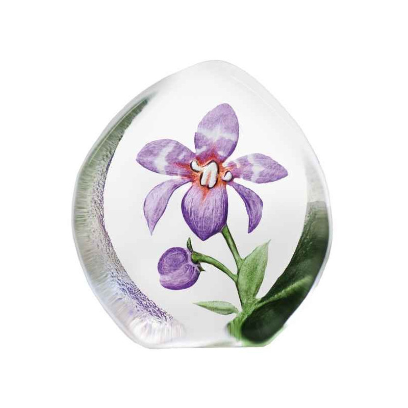 Objet de collection en verre Orchidée, pourpre Mats Jonasson -33921 dans animaux-bois-animaux-bronzes