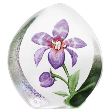 Objet de collection en verre Orchidée, pourpre Mats Jonasson -33921 dans animaux-bois-animaux-bronzes