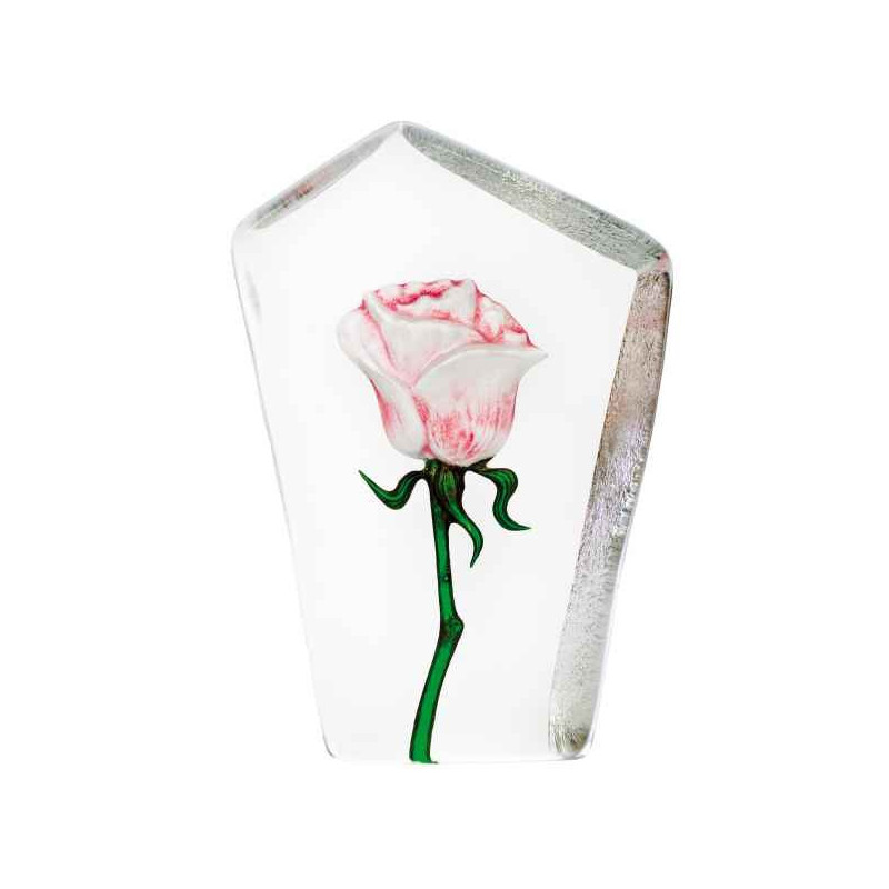 Objet de collection en verre Rose , rose design robert ljubez Mats Jonasson -33872 dans animaux-bois-animaux-bronzes