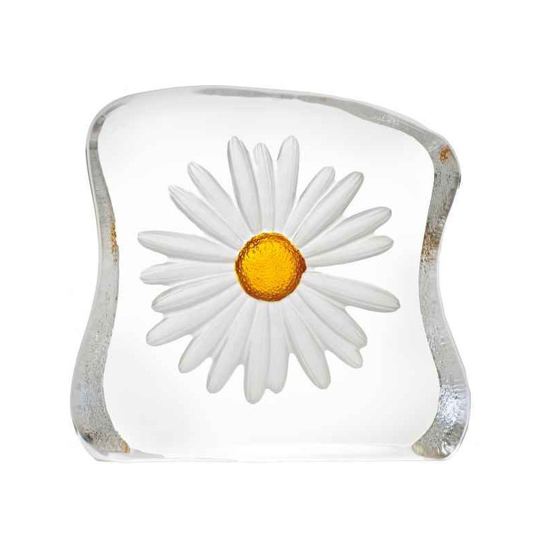 Décoration animaux en verre Daisy , sablé jaune design robert ljubez Mats Jonasson -33886