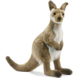 Animaux sauvage Wallaby peluche animalière -3646