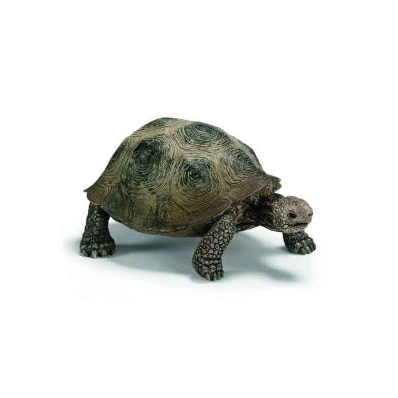 Figurine Tortue géante Schleich  -14601