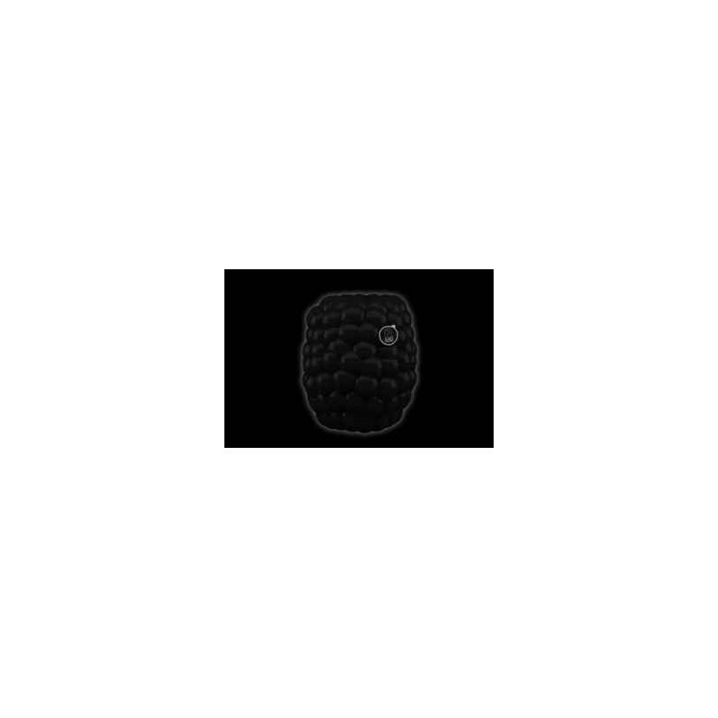 Beere noire art in the city -77051