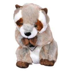 Marionnette signature - râton laveur histoire d'ours -2423