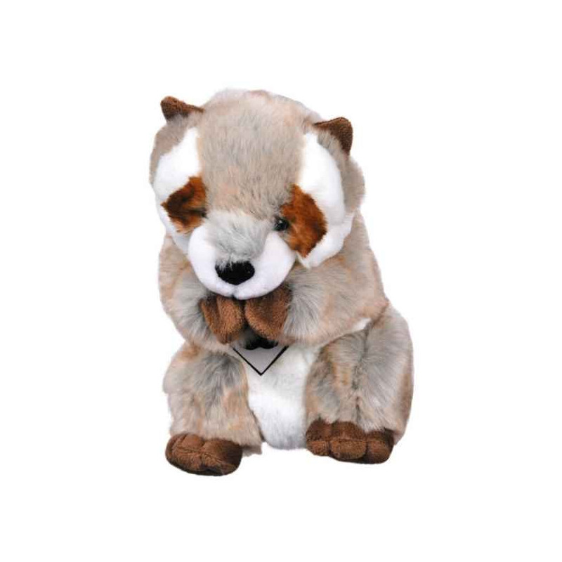 Marionnette signature - râton laveur histoire d'ours -2423