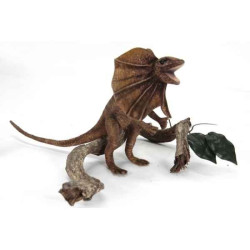 Animaux de la forêt Lézard à collerette (dragon d'australie) peluche animalière -6022