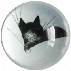 Animaux-Bois-Animaux-Bronzes.com propose Chat Dubout paperweight gros dodo -PDUB04