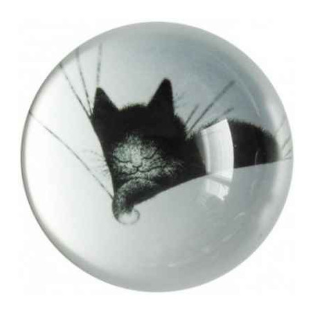 Animaux-Bois-Animaux-Bronzes.com propose Chat Dubout paperweight gros dodo -PDUB04