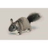 Animaux sauvage Chinchilla peluche animalière -6294
