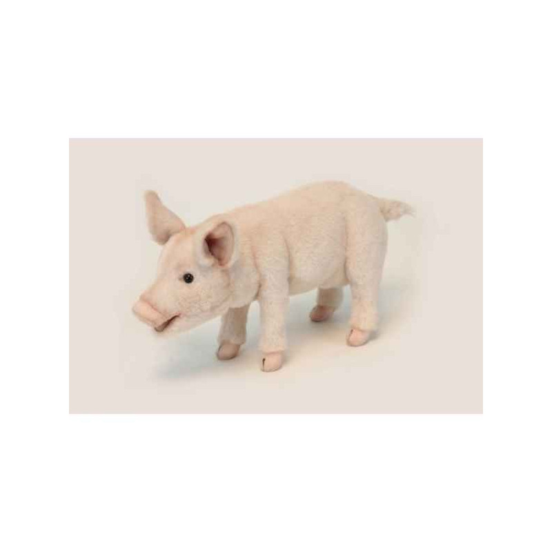 Cochon à 4 pattes Anima  -6290