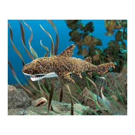 Animaux marins Leopard shark marionnette 