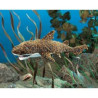 Animaux marins Leopard shark marionnette 