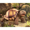 Animaux de la forêt Tortue marionnette 