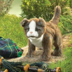 Animaux-Bois-Animaux-Bronzes.com propose Chat Scottish fold kitten marionnette 