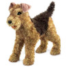 Chien Airdale terrier Folkmanis -2993