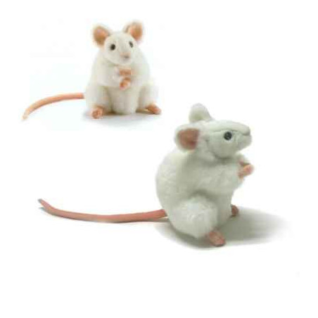 Animaux de la forêt Souris blanche - Animaux 5323