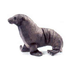 Animaux marins Otarie - Animaux 3658