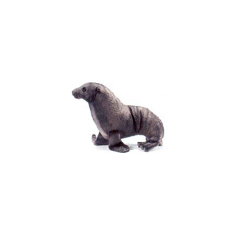 Animaux marins Otarie - Animaux 3658