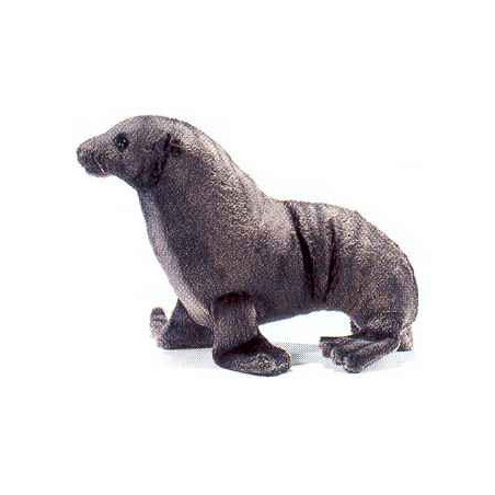 Animaux marins Otarie - Animaux 3658