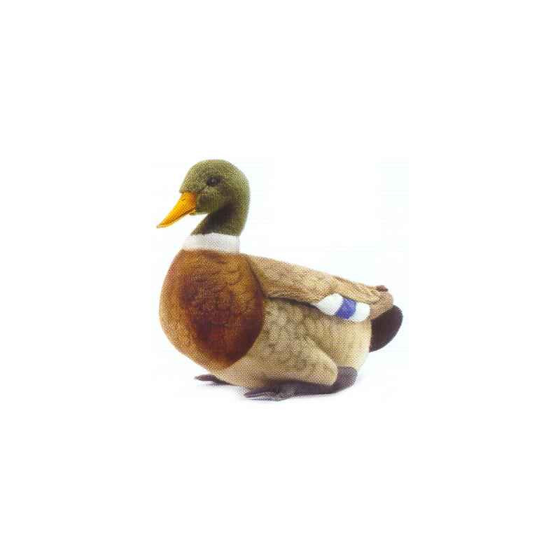 Peluche Canard colvert   Animaux 3601