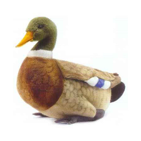 Peluche Canard colvert   Animaux 3601