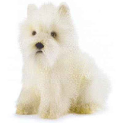 Animaux-Bois-Animaux-Bronzes propose Chien Westie - West Highland White Terrier - Animaux 4127