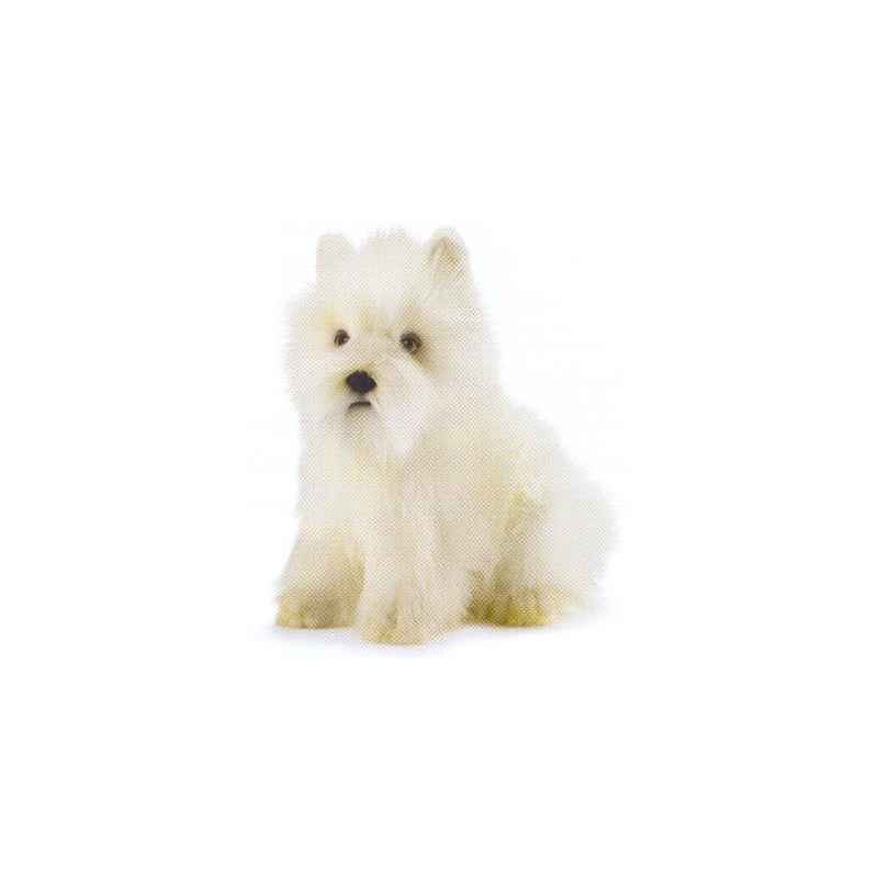 Peluche Westie   West Highland White Terrier   Animaux 4127