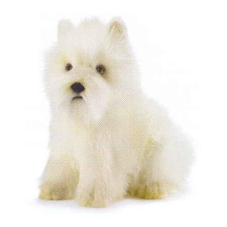 Peluche Westie   West Highland White Terrier   Animaux 4127