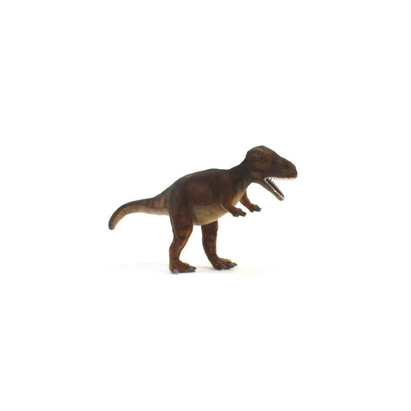 Animaux préhistoriques Tyrannosaure - Animaux 5096