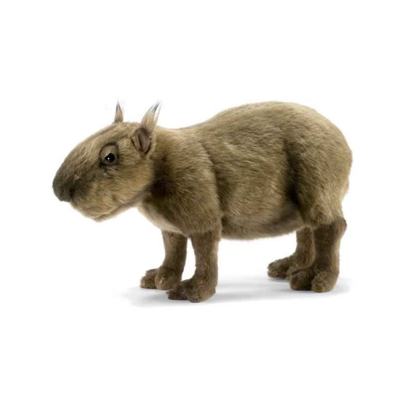 Décoration OiseauxCapibara (cabiai) - Animaux 5128 Anima