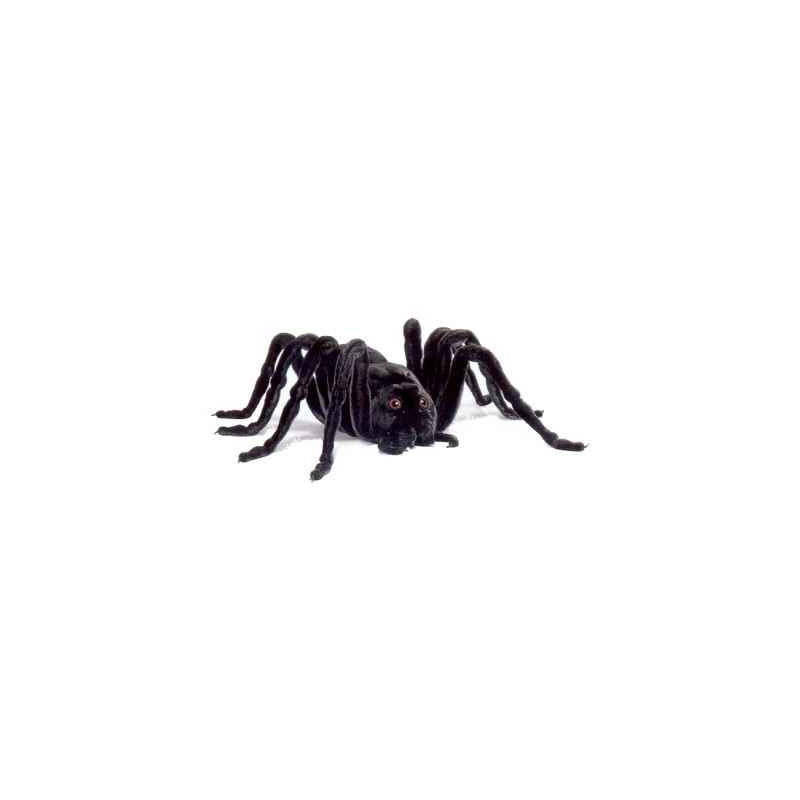 Animaux de la forêt Araignée noire - Animaux 5322