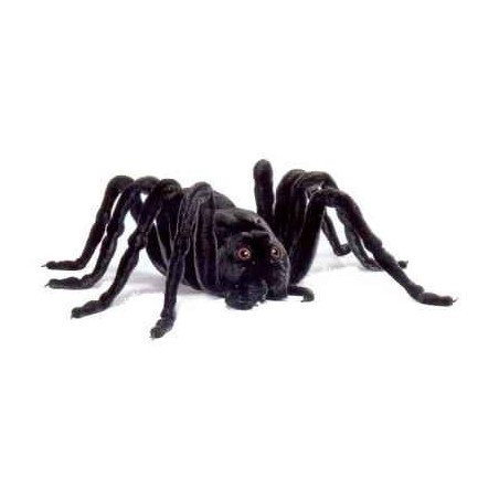 Animaux de la forêt Araignée noire - Animaux 5322