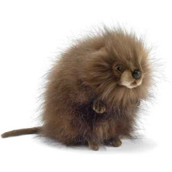 Animaux de la forêt Rat musqué - Animaux 5201