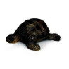 Figurine Schleich  -La tortue  -14404