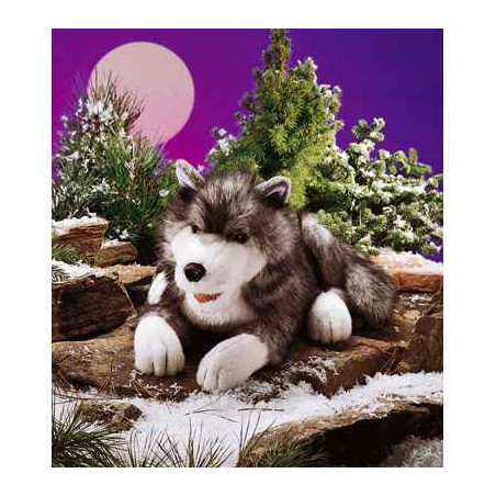 Animaux de la forêt Loup polaire 