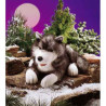 Animaux de la forêt Loup polaire 