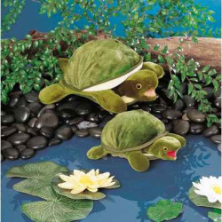 Animaux de la forêt Bébé tortue 