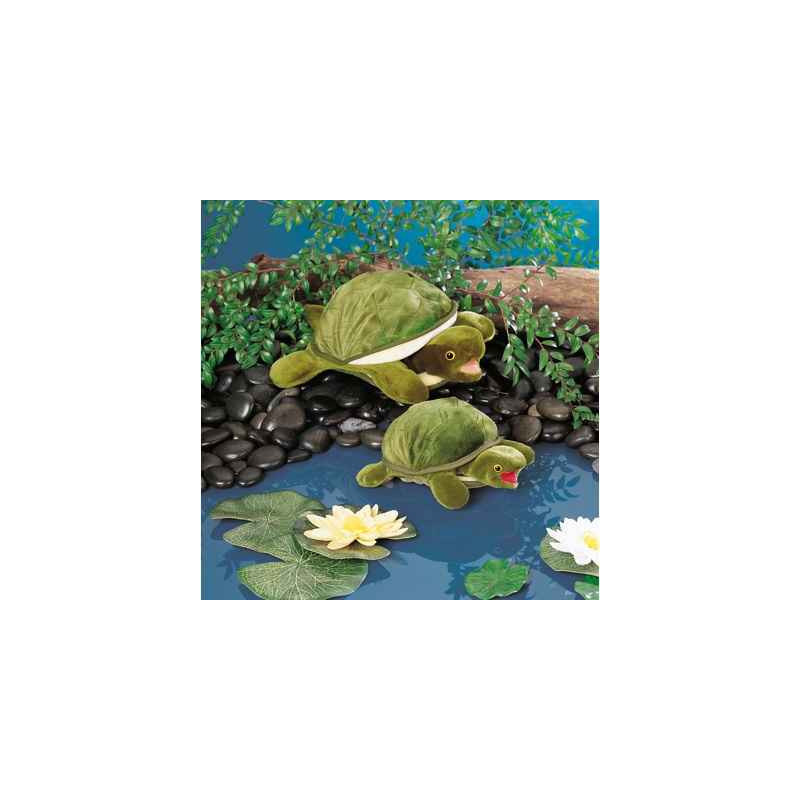 Animaux de la forêt Bébé tortue 