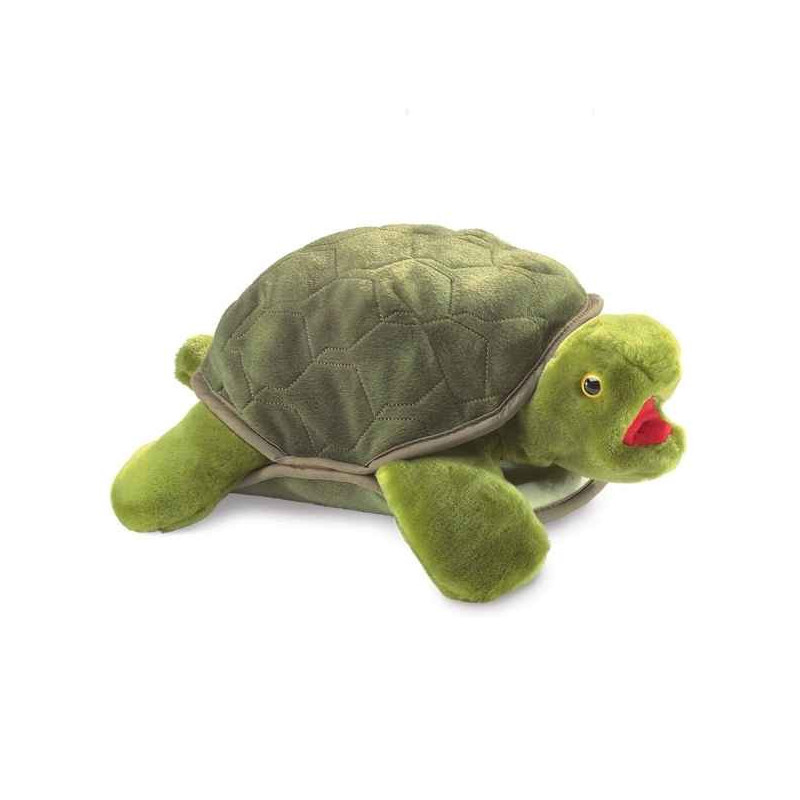 Animaux de la forêt Tortue 