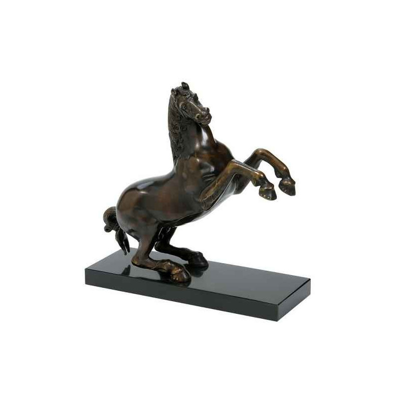 Cheval cabré Rmngp -ZI007208