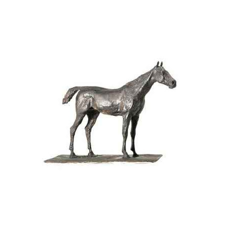 Cheval à l'arrêt Rmngp -ZF005741