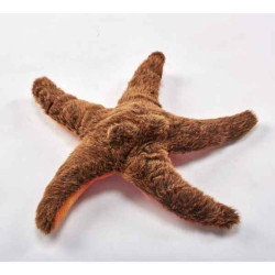 Animaux marins Etoile de mer 25cml peluche animalière -2974