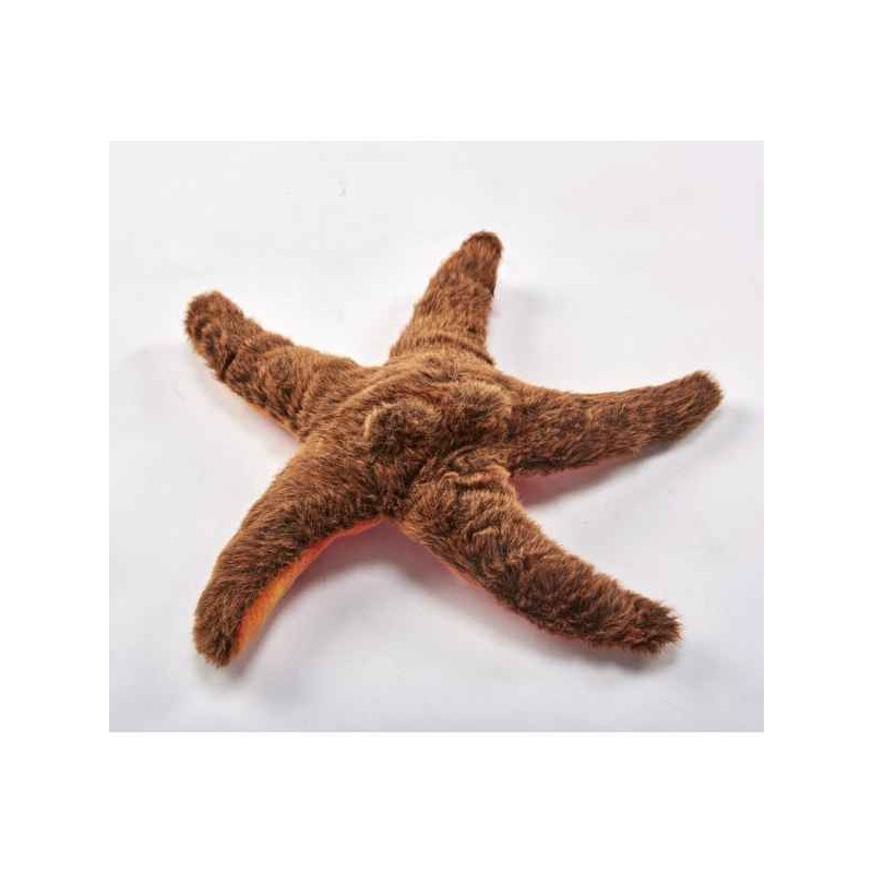 Animaux marins Etoile de mer 25cml peluche animalière -2974